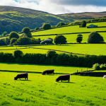 Sustainable Farming**

"A lush organic farm in the Irish countryside, showcasing diverse crops and livestock, fully clothed farmer tending to the fields, vibrant colors, sustainable agriculture, safe for work, perfect anatomy, natural proportions, professional photography, high quality, appropriate content, fully clothed, family-friendly."

**