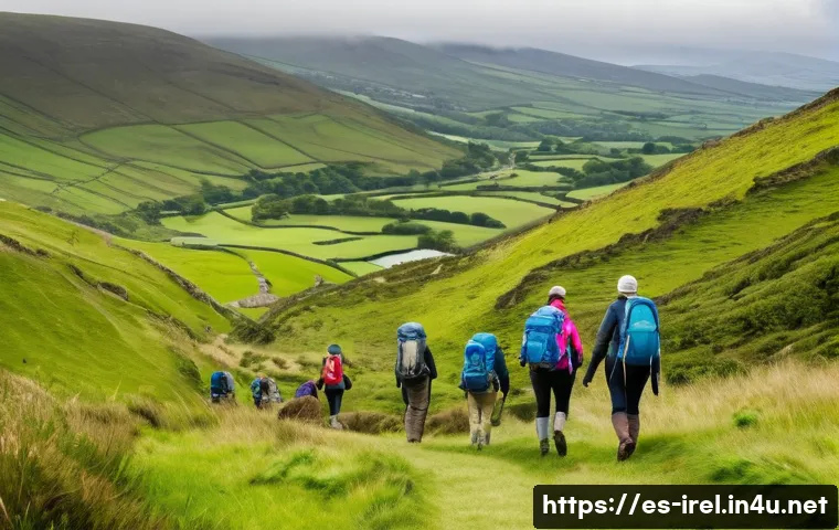 아일랜드에서의 안전 문제 및 여행 경고 관련 이미지 1