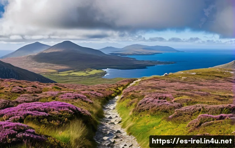 코너마라 국립공원 하이킹 - A panoramic view from the summit of Diamond Hill within Connemara National Park during springtime, s...