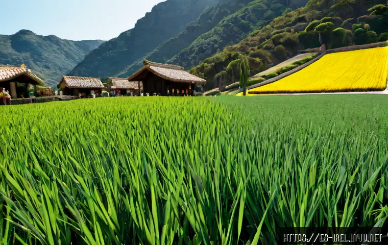 아일랜드 직업시장과 인기 직종 관련 이미지 2